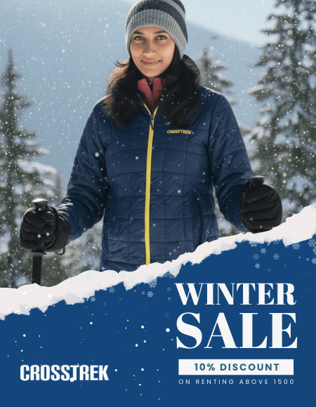 winter sale banner